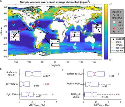 Open-Ocean Minima in δ13C Values of Particulate Organic Carbon in the Lower Euphotic Zone